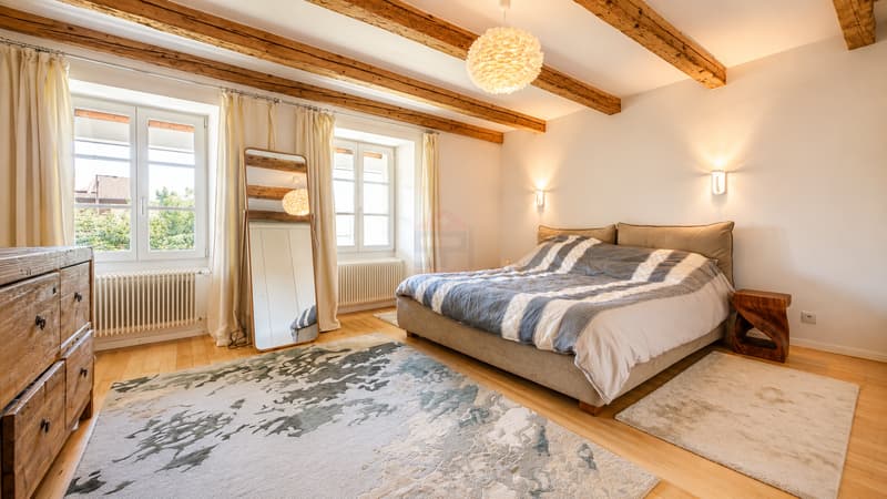 Charmant appartement alliant cachet et élégance (5)