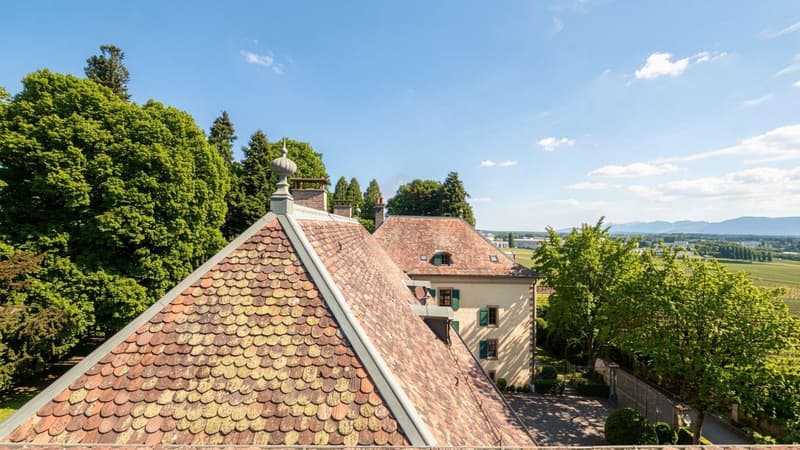 Duplex de 7,5 pièces d'exception au sein du Château Barillet, Art de vivre entre vignes et Genève (3)