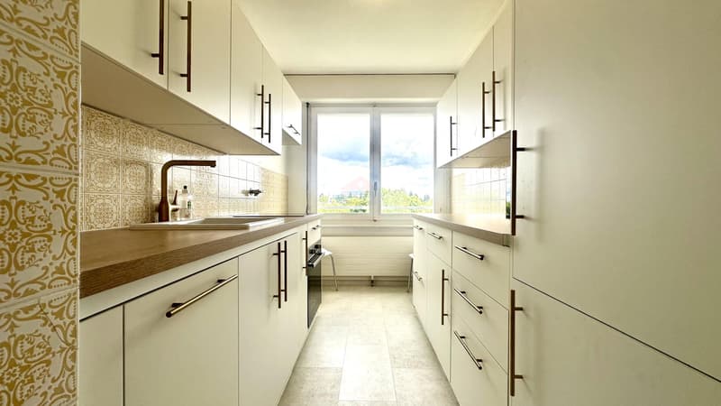 Superbe appartement 3 pièces avec une vue imprenable (3)