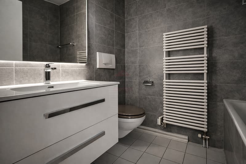 Appartement d'exception / Quartier des Nations, Genève (6)