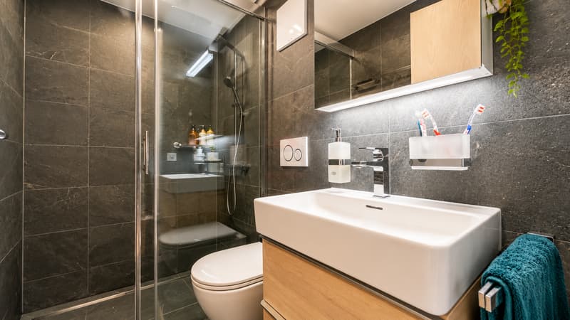 Charmant appartement alliant cachet et élégance (9)
