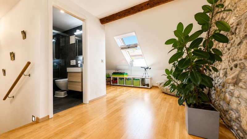 Charmant appartement alliant cachet et élégance (4)
