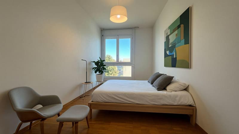 Somptueux appartement 6 pièces avec vue panoramique (7)