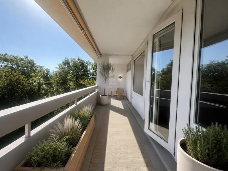 Superbe 5 pièces rénové avec balcon de 16 m² (7)