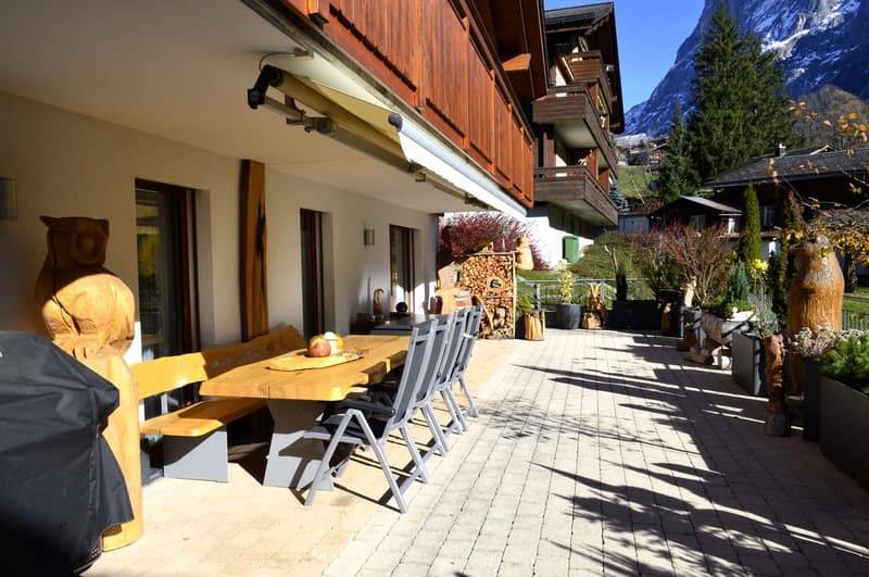 Terrace with outdoor table, chairs, bench, decorative plants, wooden statues, wooden awnings, outdoor BBQ cover, fenced area, plants, wooden log stack, distant mountain, and houses