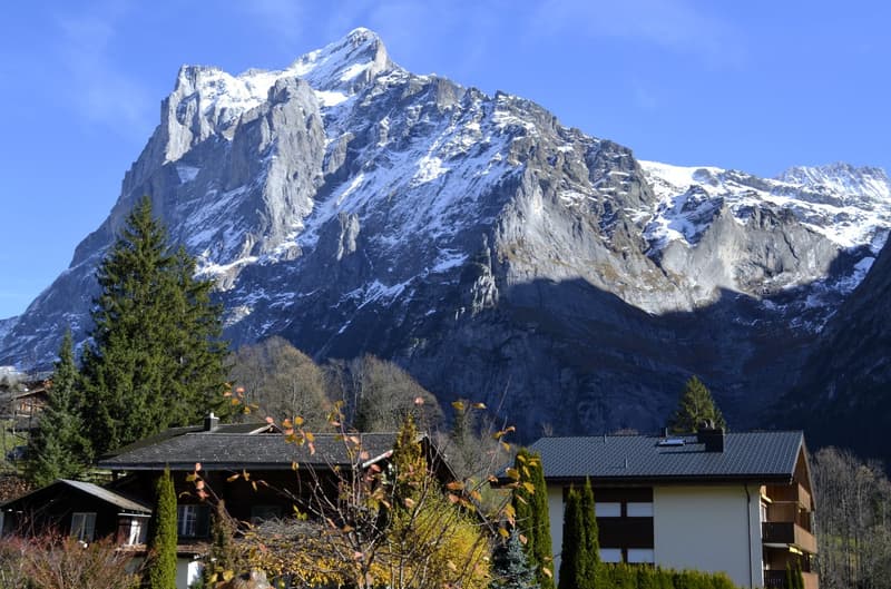 Buildings with green trees in front, mountain covered in snow