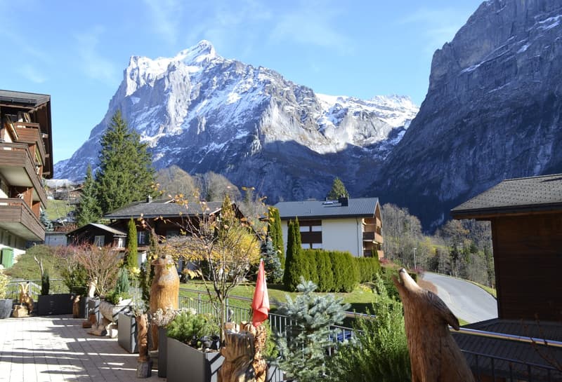 garden with shrubs, wooden sculptures, snowy mountain in the background