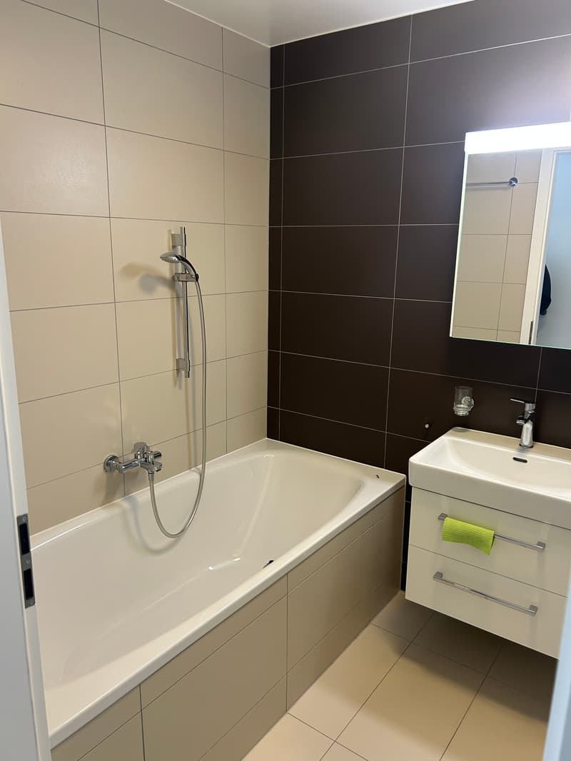 À VENDRE — Magnifique studio avec immense terrasse à Begnins (VD) (2)
