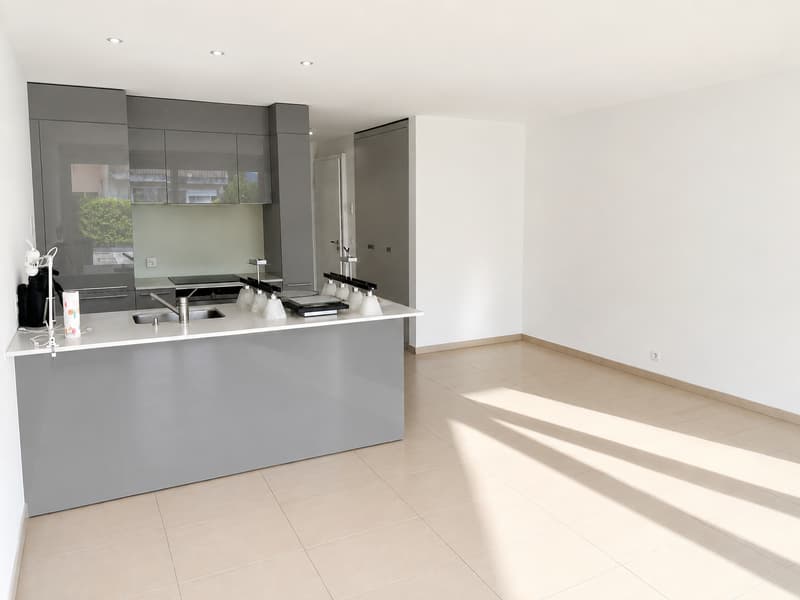 À VENDRE — Magnifique studio avec immense terrasse à Begnins (VD) (4)