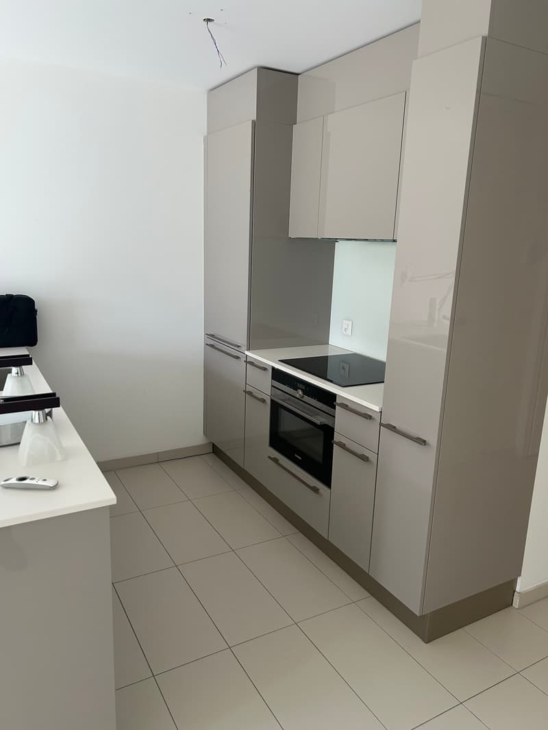 À VENDRE — Magnifique studio avec immense terrasse à Begnins (VD) (4)