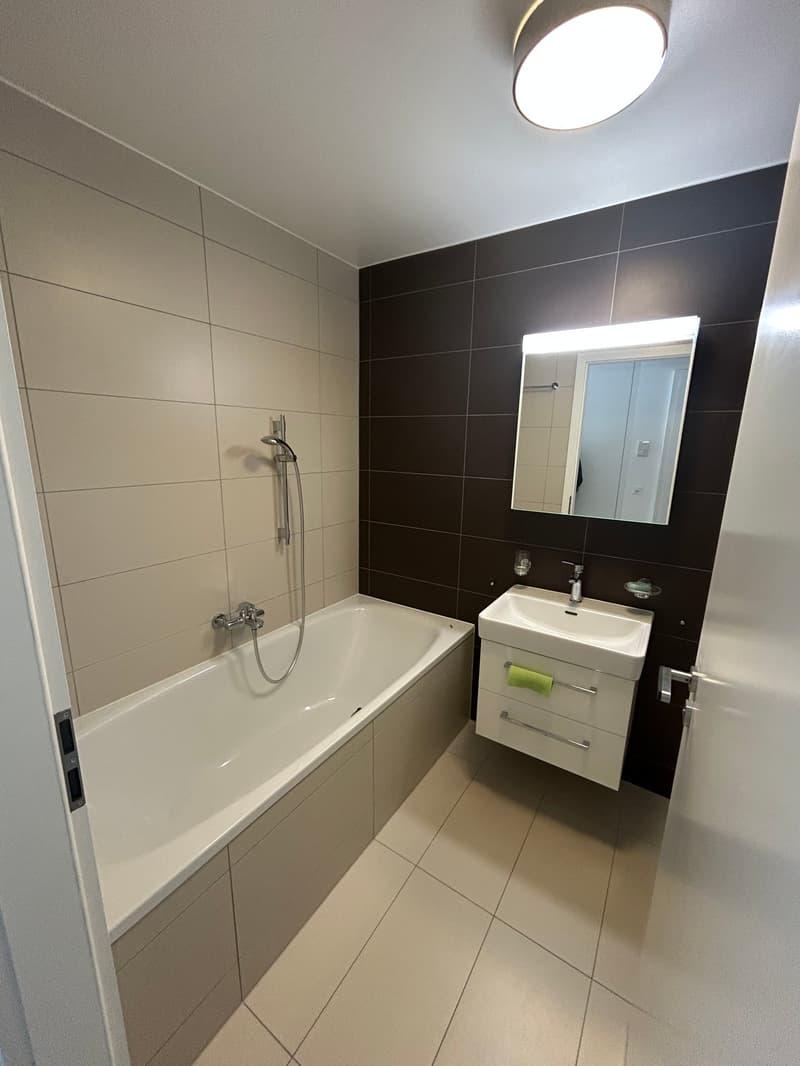 À VENDRE — Magnifique studio avec immense terrasse à Begnins (VD) (6)