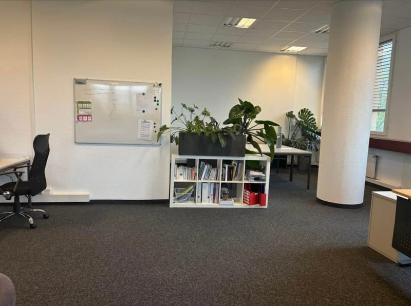 Local professionnel à louer 234 m² + 6 places parc à louer – Renens (4)