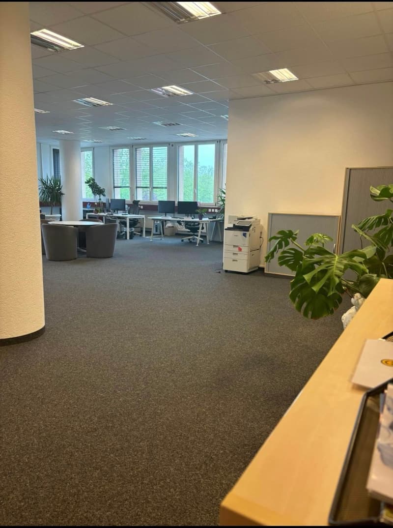 Local professionnel à louer 234 m² + 6 places parc à louer – Renens (2)