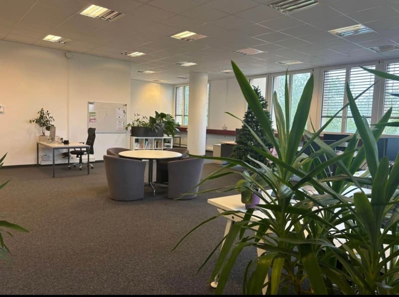 Local professionnel à louer 234 m² + 6 places parc à louer – Renens (7)