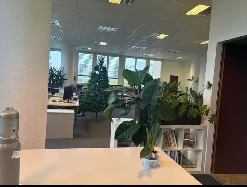 Local professionnel à louer 234 m² + 6 places parc à louer – Renens (5)