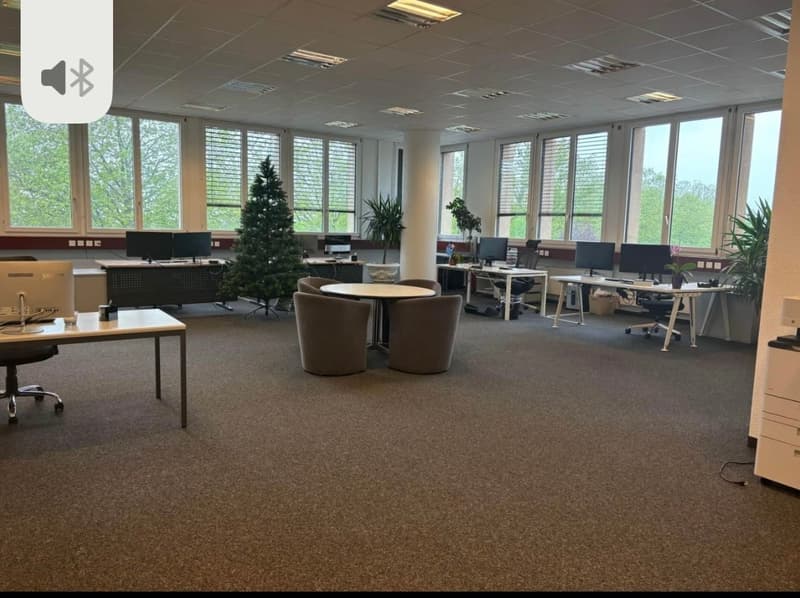 Local professionnel à louer 234 m² + 6 places parc à louer – Renens (1)