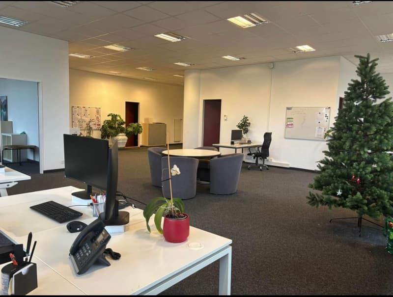 Local professionnel à louer 234 m² + 6 places parc à louer – Renens (3)