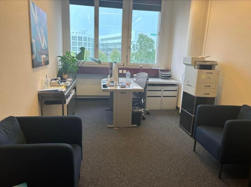 Local professionnel à louer 234 m² + 6 places parc à louer – Renens (9)
