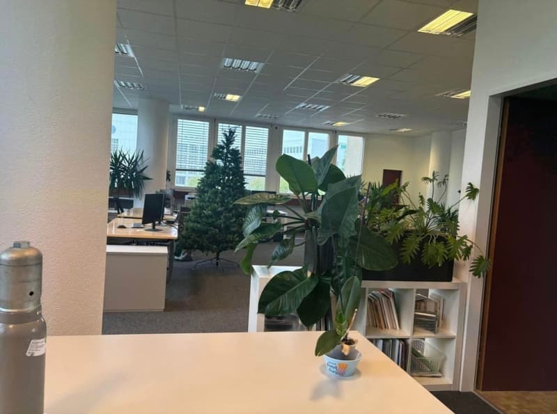 Local professionnel à louer 234 m² + 6 places parc à louer – Renens (6)