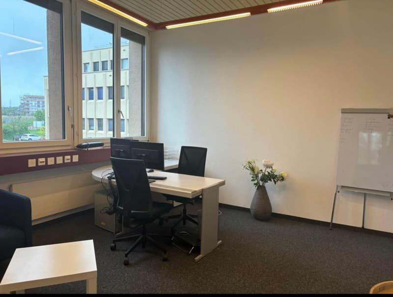 Local professionnel à louer 234 m² + 6 places parc à louer – Renens (8)
