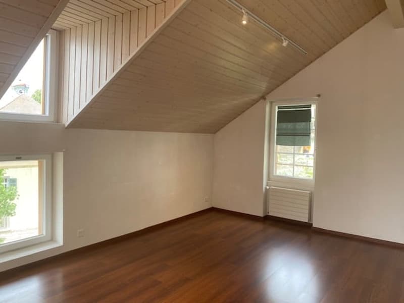 Immeuble de rendement proche de Montreux avec vue sur le lac – 3 appartements, jardins, terrasses (15)
