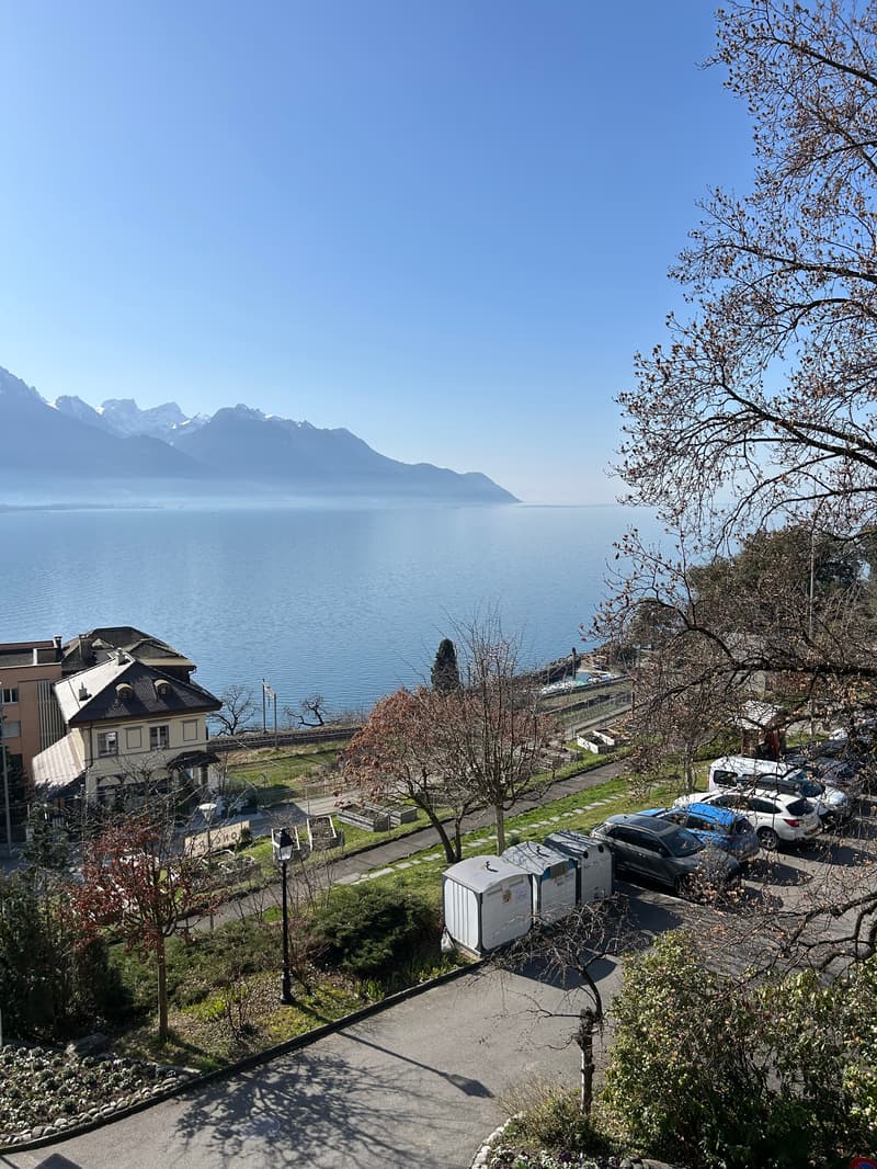 Immeuble de rendement proche de Montreux avec vue sur le lac – 3 appartements, jardins, terrasses (9)