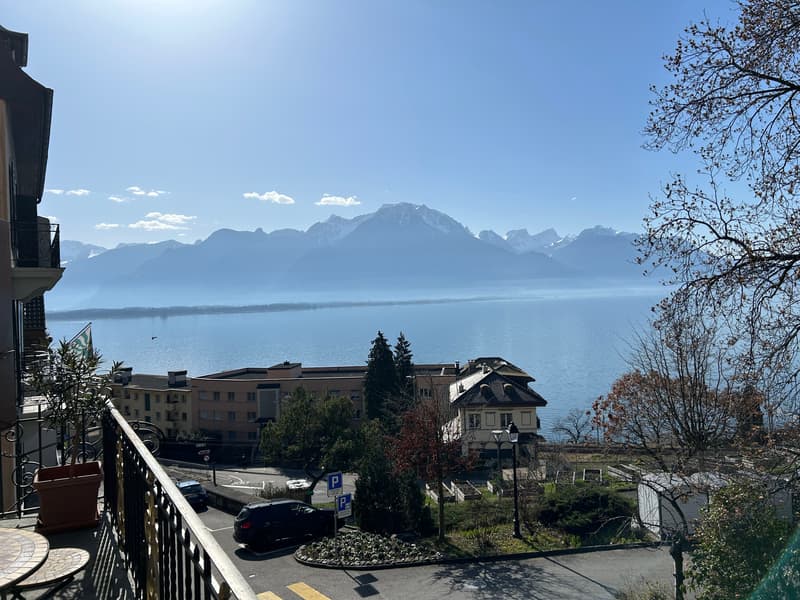 Immeuble de rendement proche de Montreux avec vue sur le lac – 3 appartements, jardins, terrasses (8)