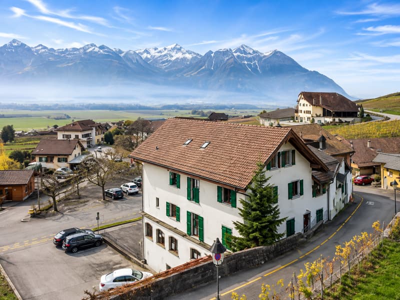 Immeuble de rendement avec fort potentiel – 13 appartements, vue exceptionnelle sur les vignobles (1)