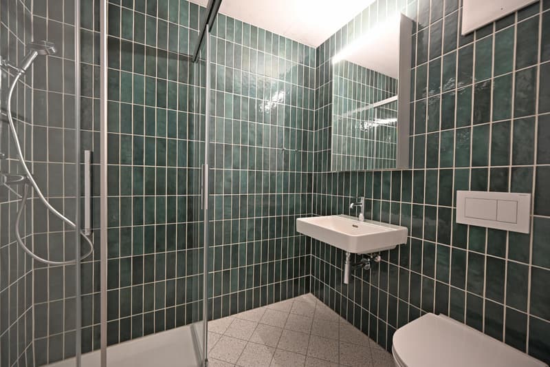 Neue Wohnung gesucht? (11)