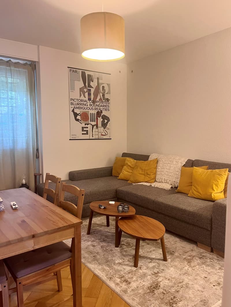 Appartement de 3 pièces (2)