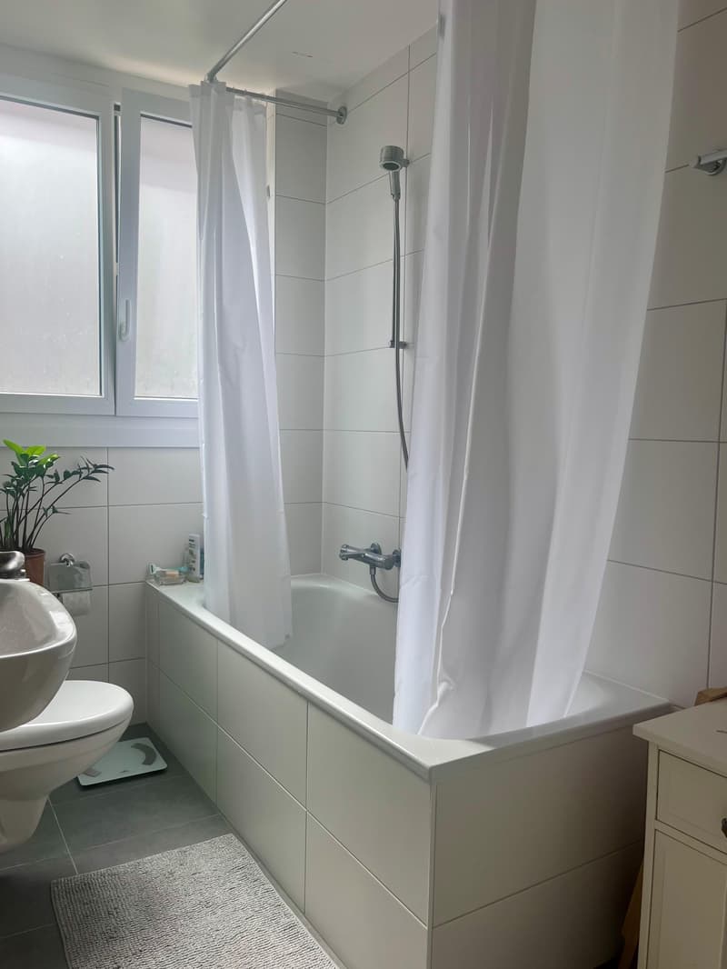 Appartement de 3 pièces (7)