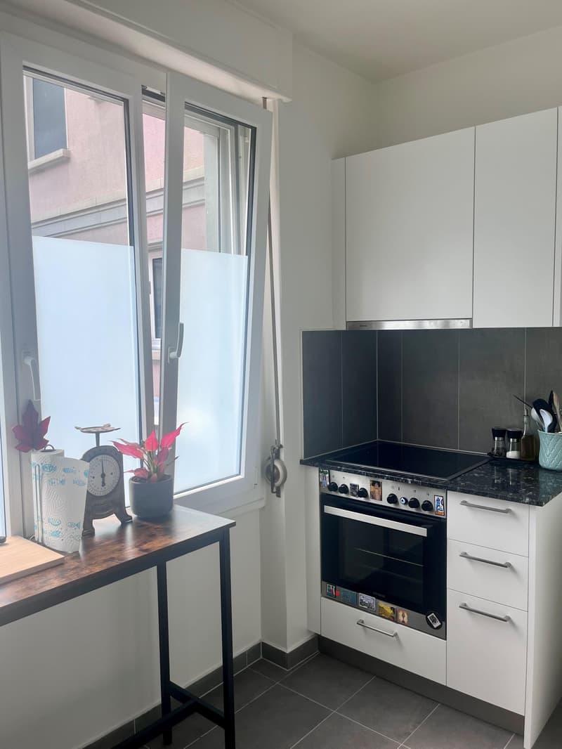 Appartement de 3 pièces (6)