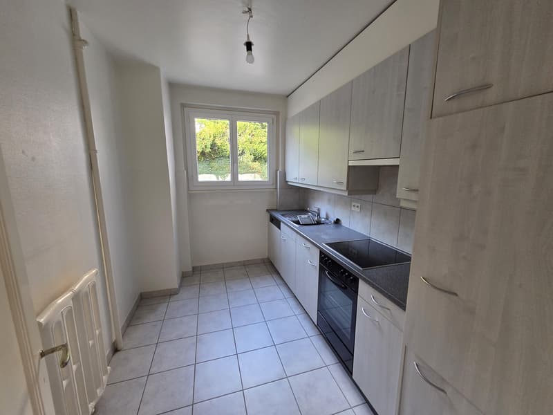 Appartement de 4.5 pièces (2)