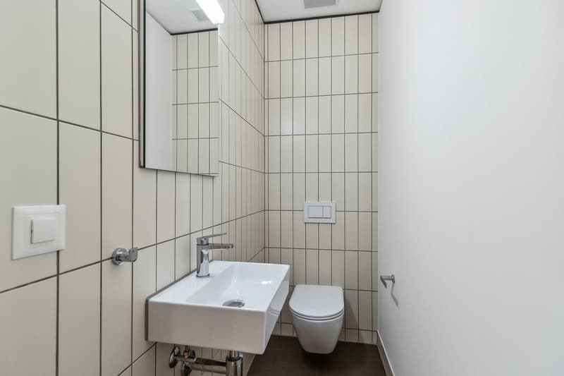 Wunderschöne 3.5 Zimmerwohnung Nähe Triemli Spital (10)