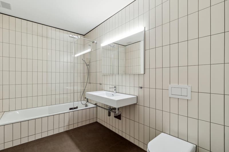 Wunderschöne 3.5 Zimmerwohnung Nähe Triemli Spital (9)