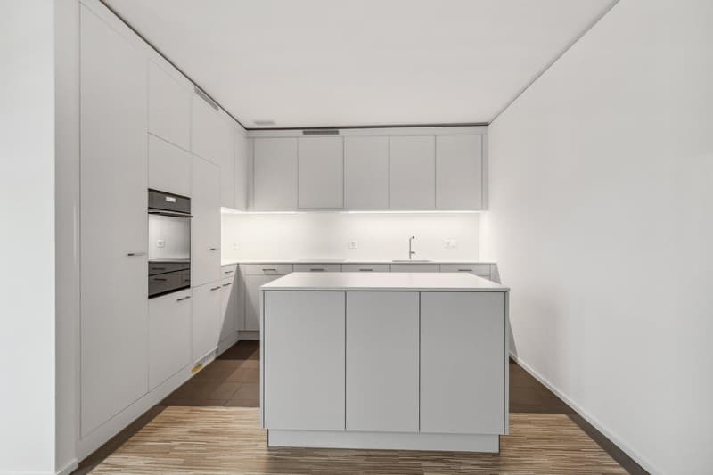 Wunderschöne 3.5 Zimmerwohnung Nähe Triemli Spital (5)