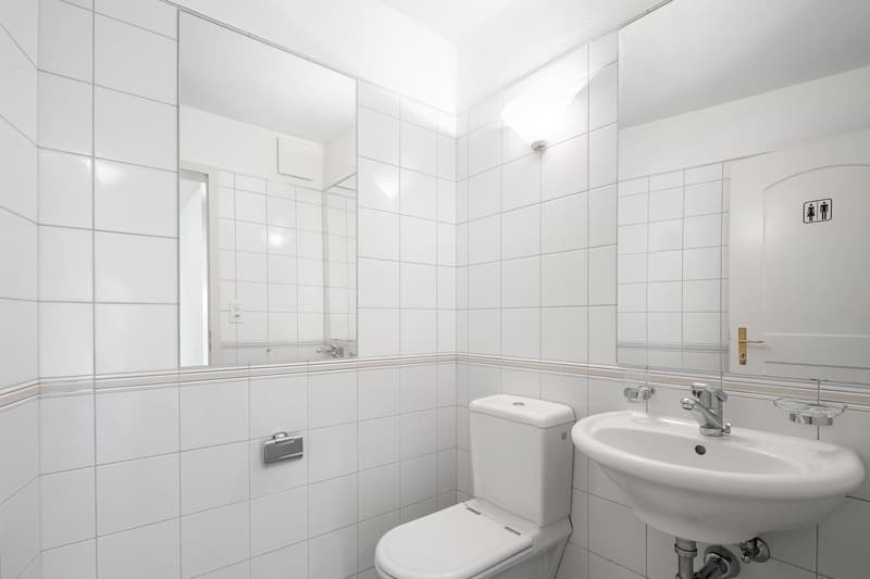 3.5 Zimmerwohnung in Wädenswil (8)