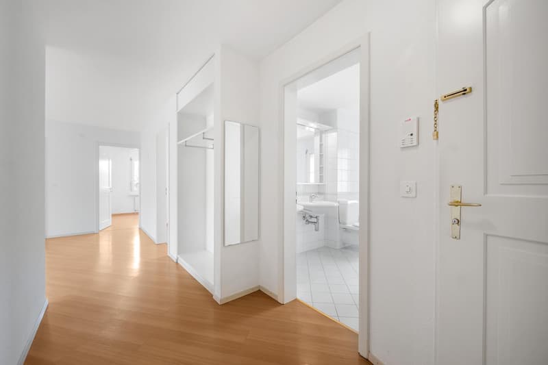 3.5 Zimmerwohnung in Wädenswil (6)