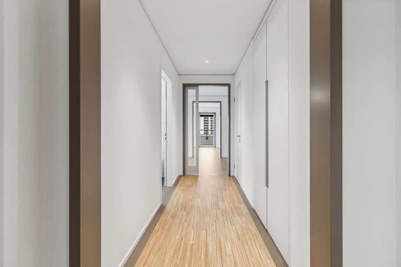 2.5 Zimmerwohnung in Zürich (3)