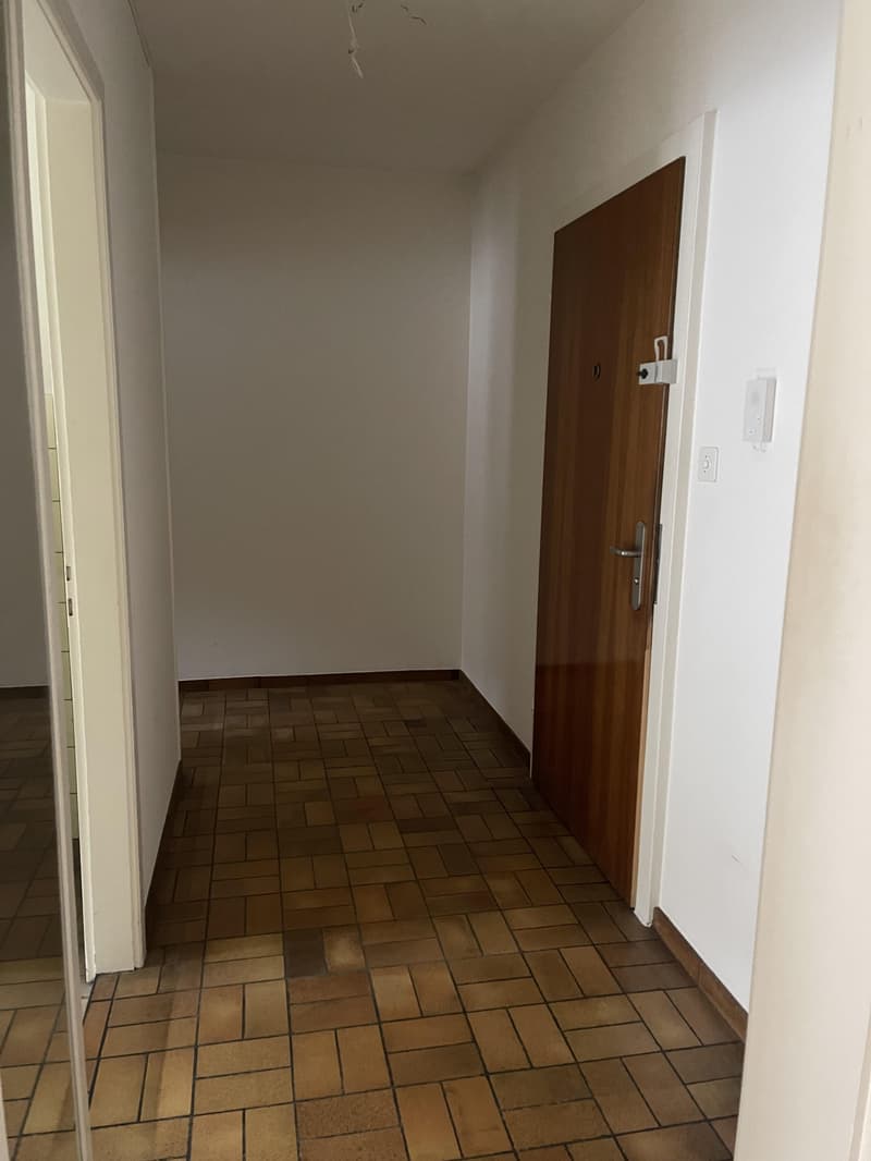 2.0 bedroom apartment in Basel (5)