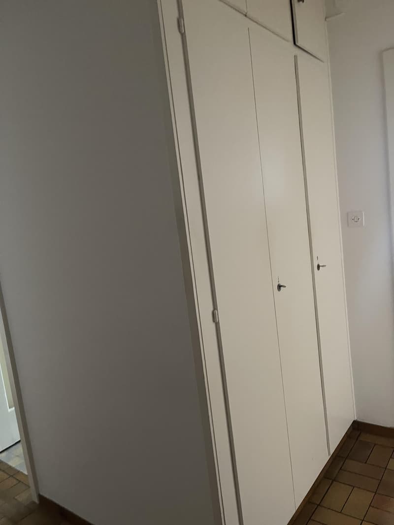 2.0 bedroom apartment in Basel (4)