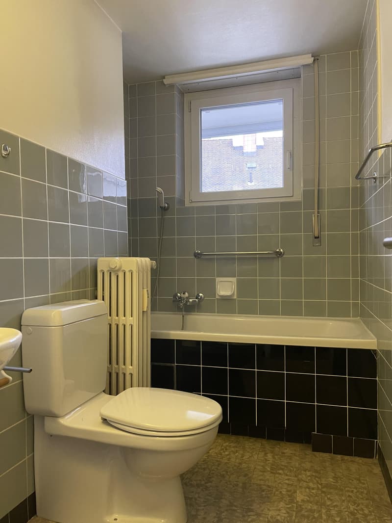 2.0 bedroom apartment in Basel (2)