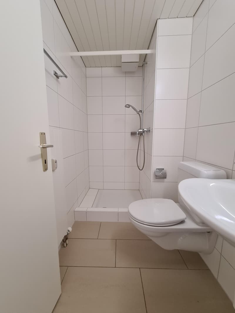 4.5 Zimmerwohnung in Bottmingen (7)