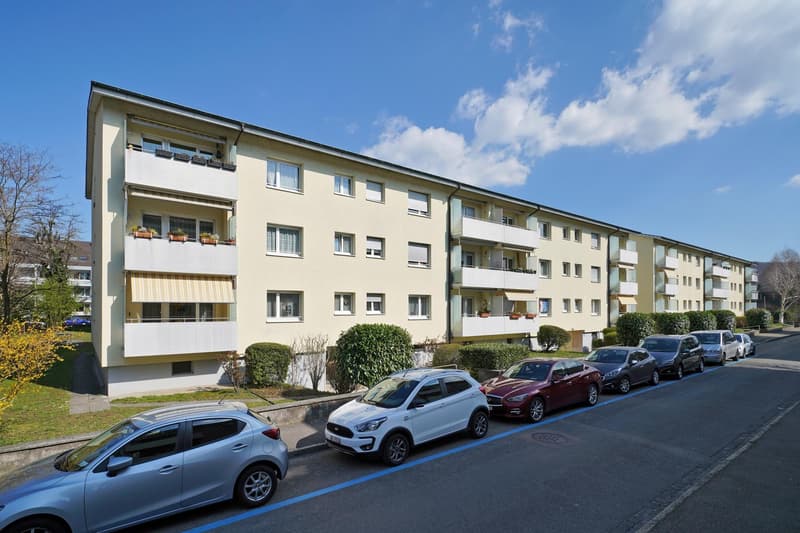 3.0 Zimmerwohnung in Riehen (1)