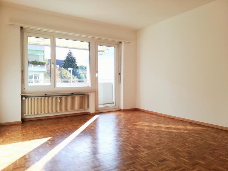 3.0 Zimmerwohnung in Riehen (3)