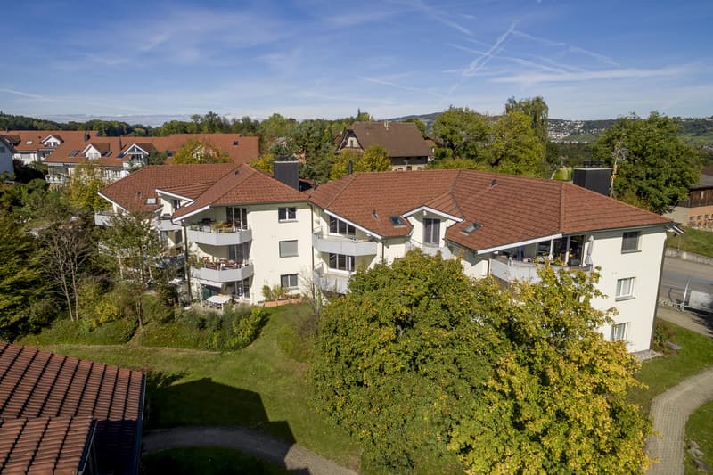 4.5 Zimmerwohnung in Hermetschwil-Staffeln (1)