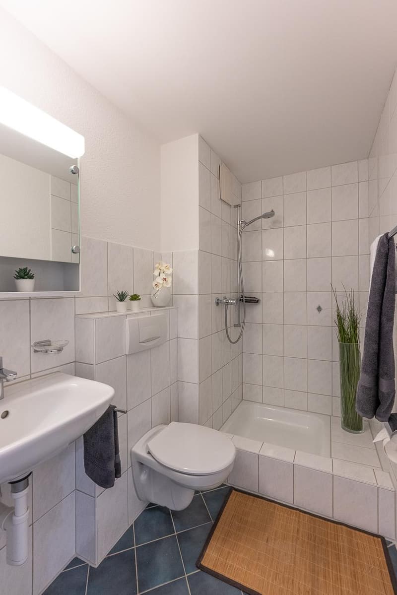 4.5 Zimmerwohnung in Hermetschwil-Staffeln (3)