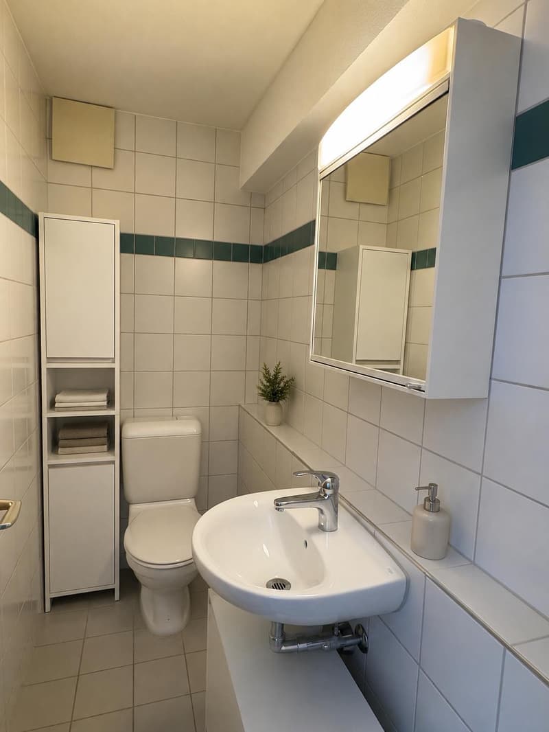 3.5 Zimmerwohnung in Amriswil (3)