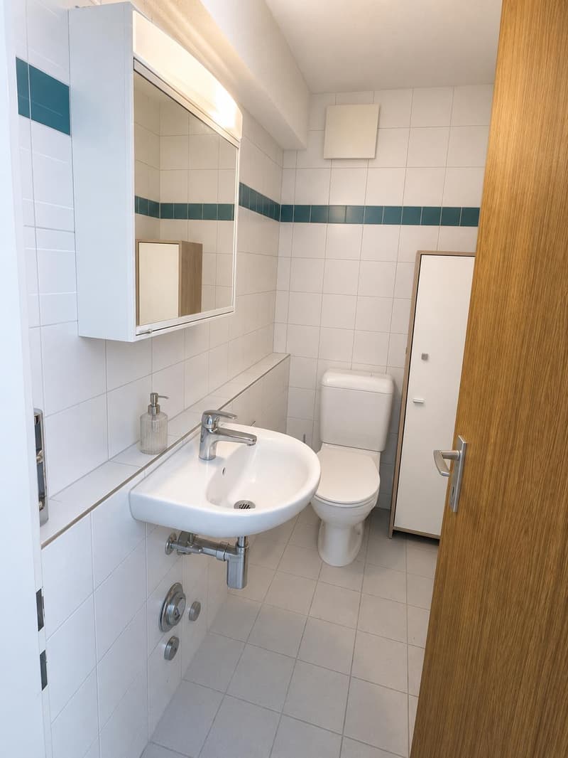 3.5 Zimmerwohnung in Amriswil (3)