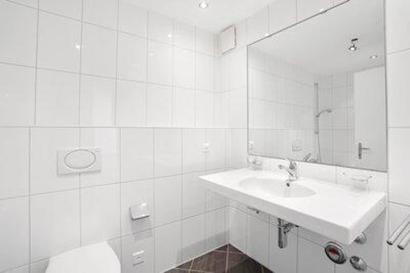 Wohnkomfort trifft gute Lage  4.5 Zimmerwohnung in St. Gallen Haggen (8)